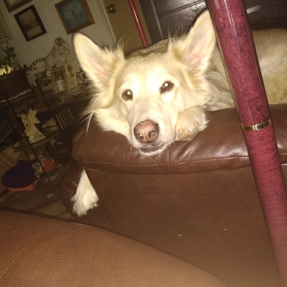 Meet your Posher, Diane - Picture 2 of 6